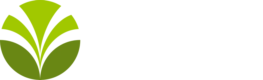 Olam